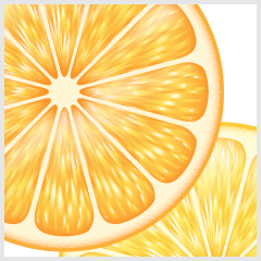 Tutorial 輪切りのオレンジを描く その1 オブジェクト編 イラレラボ Illustrator Labo